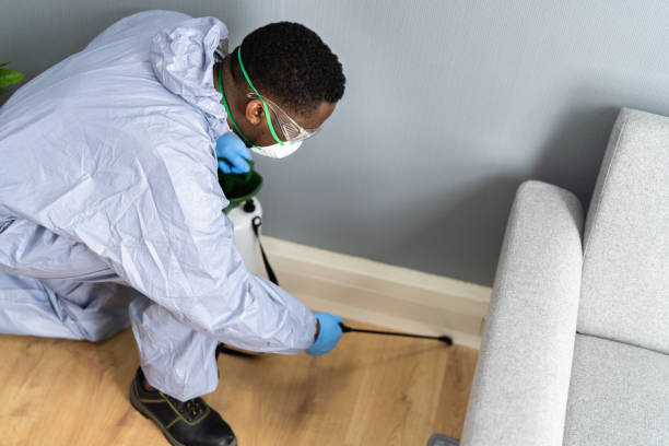 Best Fumigation Services  in Liberty Lake, WA